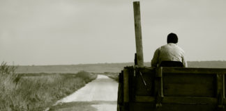 Festa del contadino Acireale 1335 0 Festa del contadino Acireale